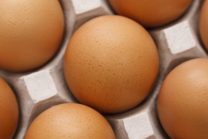 Healthy Birds, Delicious Eggs<br />
ORGANIC EGGS