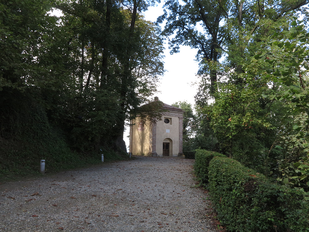 樫やブナ、ナラの木が鬱蒼と茂る森