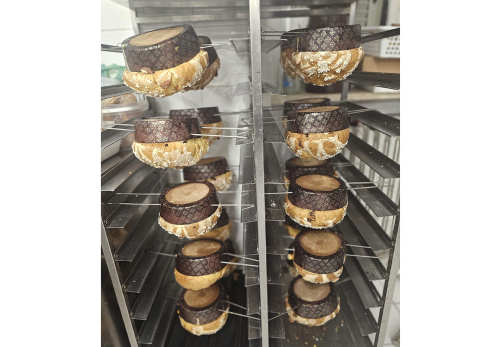 焼き上がったパネットーネ