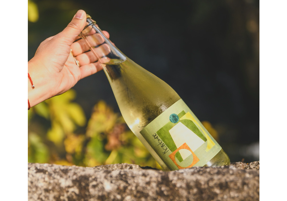 醸造家と発酵の専門家がコラボ。コンブチャで造る低アルコールワイン