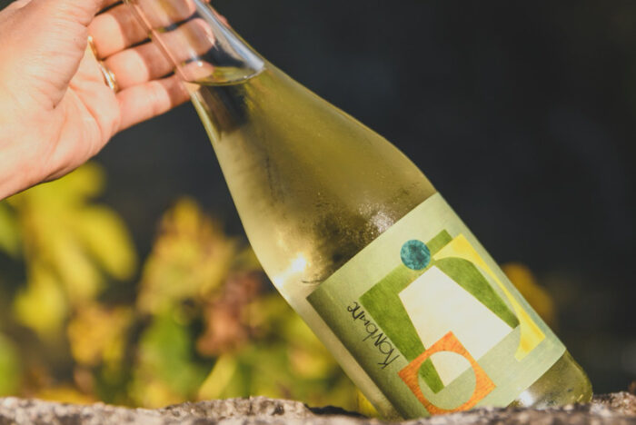 醸造家と発酵の専門家がコラボ。コンブチャで造る低アルコールワイン