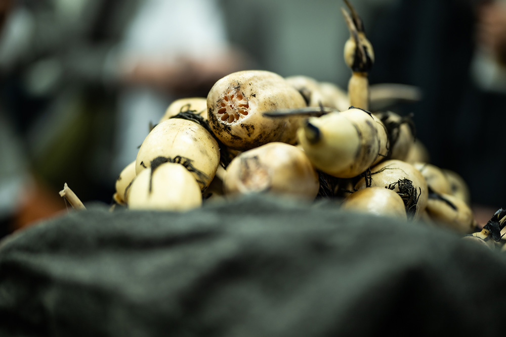 冷蔵保管されるレンコン