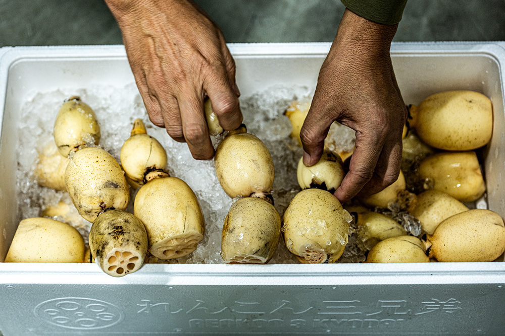 氷で冷やして発送