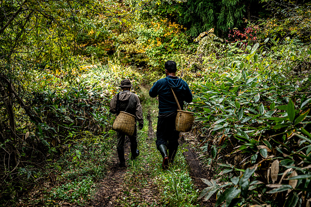 丸山さんと西本シェフ