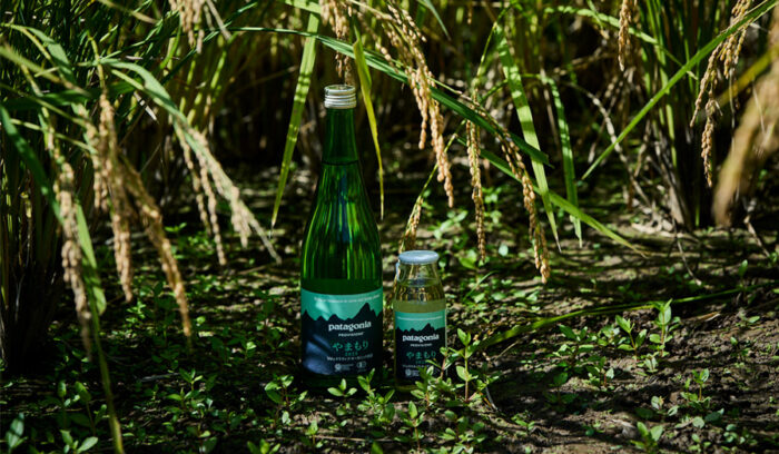 パタゴニア プロビジョンズの自然酒「やまもり」が指し示す、これからの米作り・酒造り