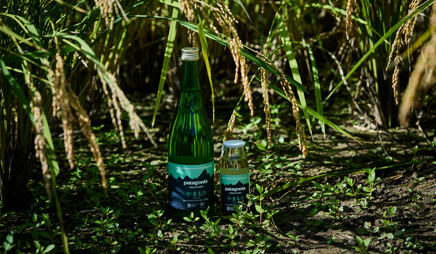 パタゴニア プロビジョンズの自然酒「やまもり」が指し示す、これからの米作り・酒造り