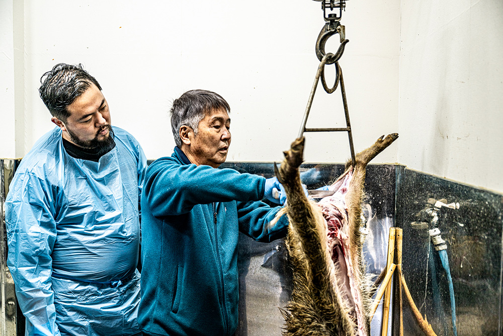 イノシシの解体に挑む