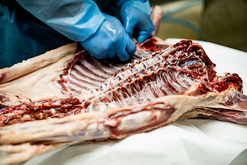 解体後、時間を置かずに－20℃の冷凍庫へ入れる