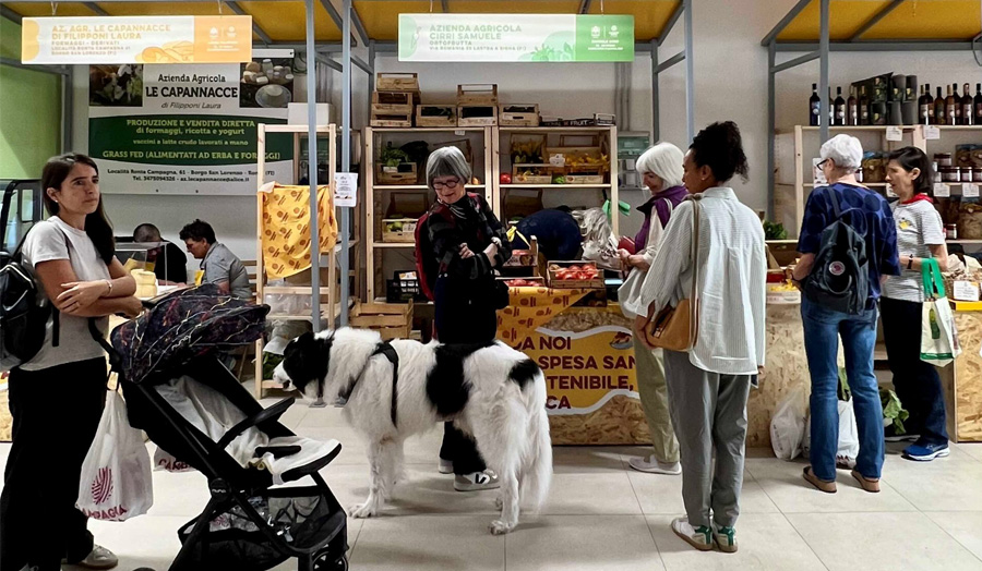 温故知新！生産者と住民がダイレクトに繋がる産直マーケットが急増中