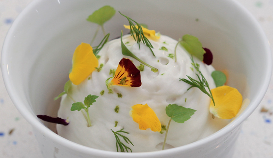 東南アジアのハーブが香るヴィーガン・ミルクスイーツ「パンナ・ココ」