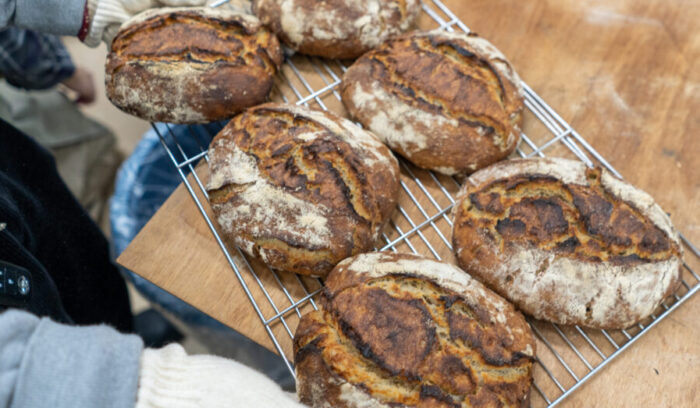 東北から始まる、リアルブレッドの新しい地図。『宮城麦人』という試み
