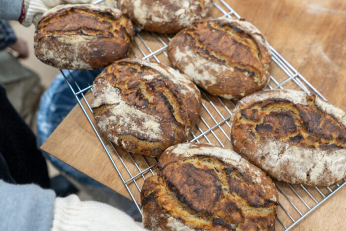 東北から始まる、リアルブレッドの新しい地図。『宮城麦人』という試み