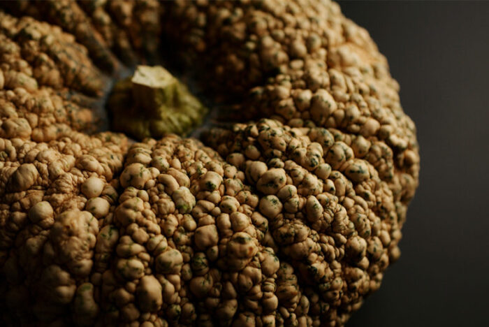 繋がりゆく、生命のかたち 「古来種野菜」は、美しい