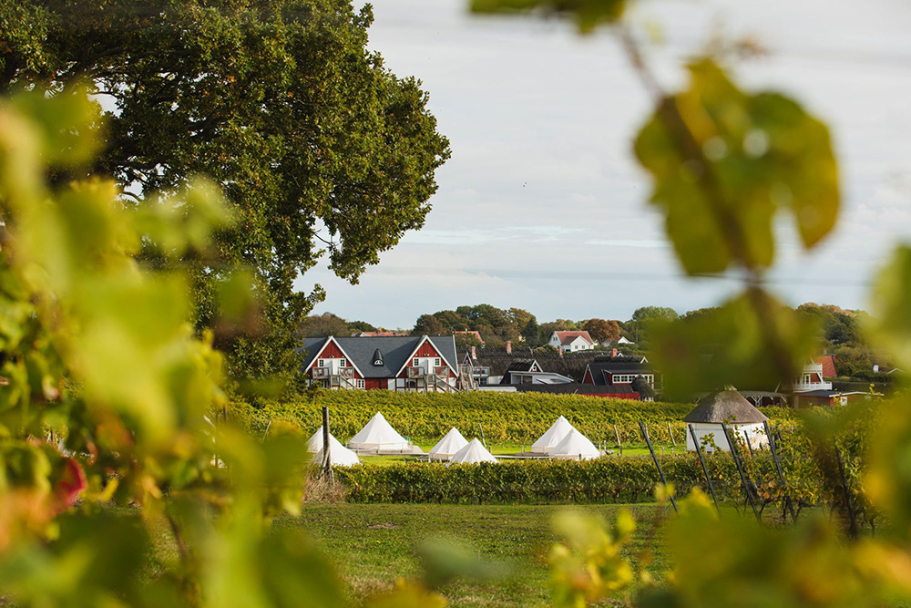広大な敷地の風景
