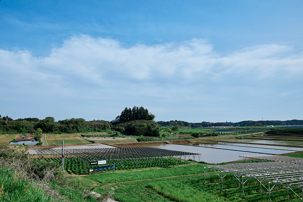千葉県匝瑳市飯塚・開畑地区