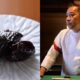 ７月15日（水）13時～開催。限定９名のご招待！「カリフォルニアプルーンセミナー」