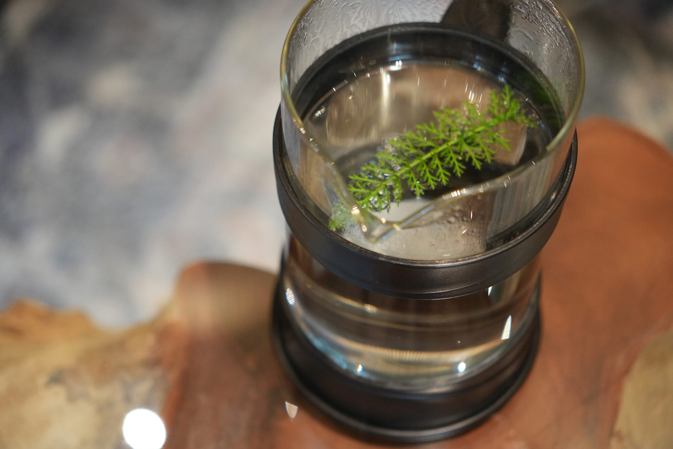 採集から戻り摘んだハーブをお湯に浸す。新鮮な植物は長く浸さず、５～15分で十分。どこか日本のだしを思わせる旨味が体に深く沁みる。