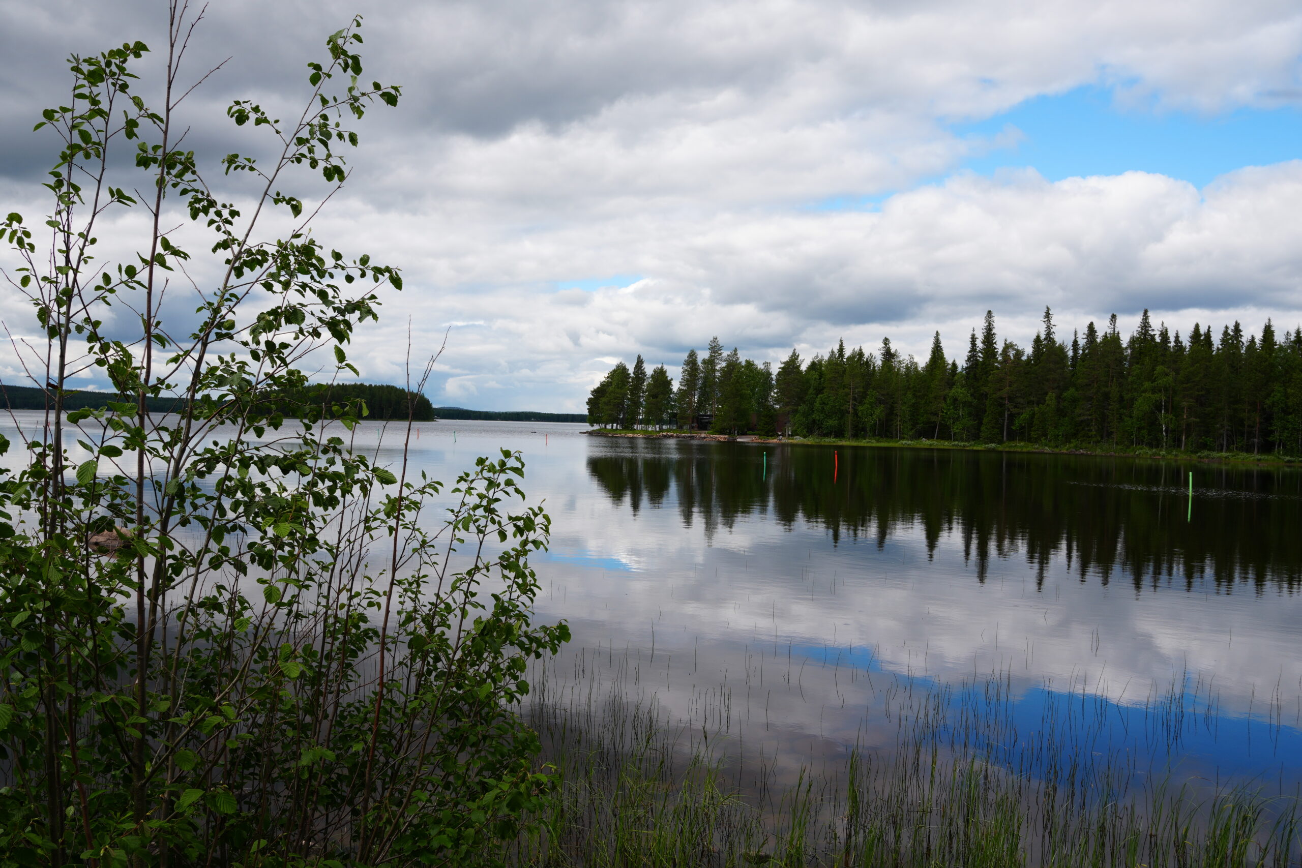 森に隣接する敷地には、サウナがある。 東フィンランド大学（Itä-Suomen yliopisto）では、サウナがもたらす健康効果や長寿についての研究が進められている。サウナでしっかり温まり、湖や川、外気浴などで一気に体を冷やす（温冷交代浴）、これを繰り返すことで、自律神経が整い、全身の血流が良くなる。代謝が促されて、夜は深く眠れる。